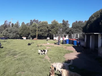 El CAAN logró construir un baño en el predio y piden la donación de artefactos