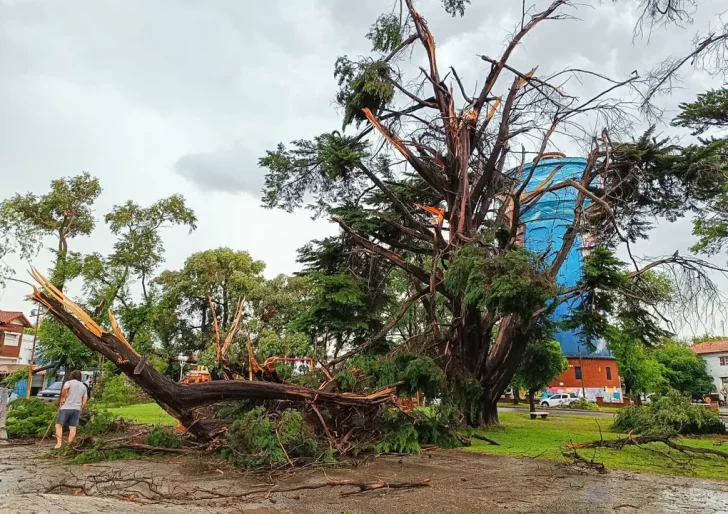 Una mujer es la segunda víctima fatal del temporal que azotó Miramar