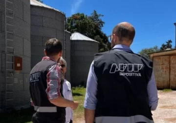 Un acopio clandestino detectado por AFIP en la zona