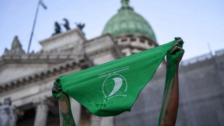 Diputados de La Libertad Avanza presentaron un proyecto para derogar la ley IVE