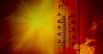 Máxima de casi 38 grados y térmica que superó los 44