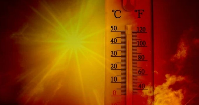 Máxima de casi 38 grados y térmica que superó los 44