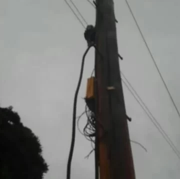 Robaban cables de teléfono, pero los vieron desde el Centro de Monitoreo