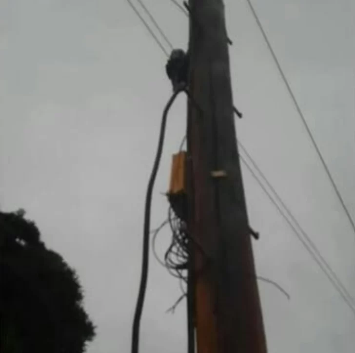 Robaban cables de teléfono, pero los vieron desde el Centro de Monitoreo