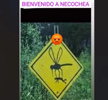 Invasión de mosquitos: los memes no tardaron en llegar