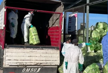 Salieron tres camiones con casi 10.000 envases de fitosanitarios