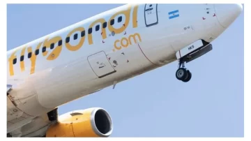 Un avión de Flybondi sufrió la ingesta de un pájaro y tuvo que abortar el despegue en Ezeiza