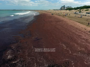 Impresionantes imágenes de las algas de Quequén desde un dron