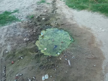 Cloaca rebalsada en 43 entre 76 y 78