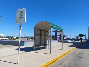 Por el momento, el paro de colectivos no afectará a Necochea