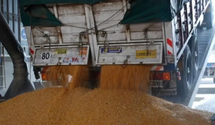 Plan “Cosecha Segura” para evitar delitos en el transporte de granos y en los puertos