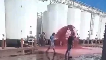 Mendoza: por un insólito error en una bodega, se perdieron 15.000 litros de vino