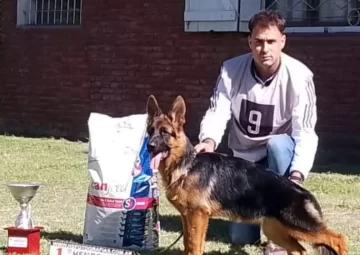 Volvieron a los podios los ovejeros alemanes de Necochea