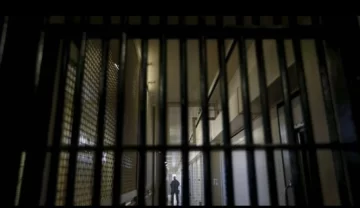Golpeó a su pareja, a su suegra e intentó agredir a la policía