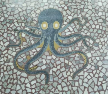 ¿En qué lugar de Necochea está este pulpo?