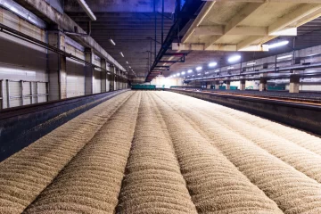 Rojas anunció que la maltería generará 700 puestos de trabajo para su construcción