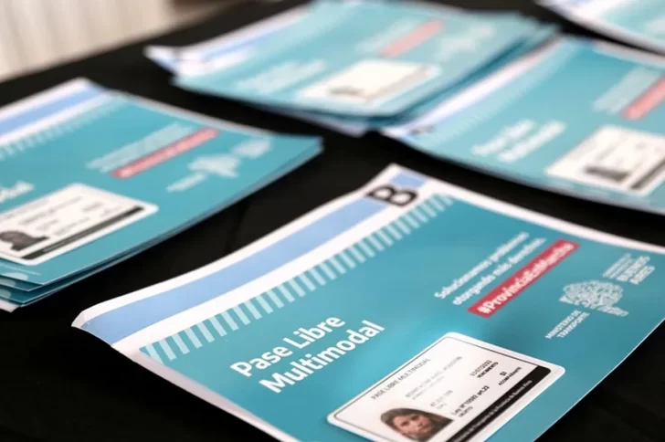 Las personas con discapacidad podrán seguir viajando gratis en la Provincia