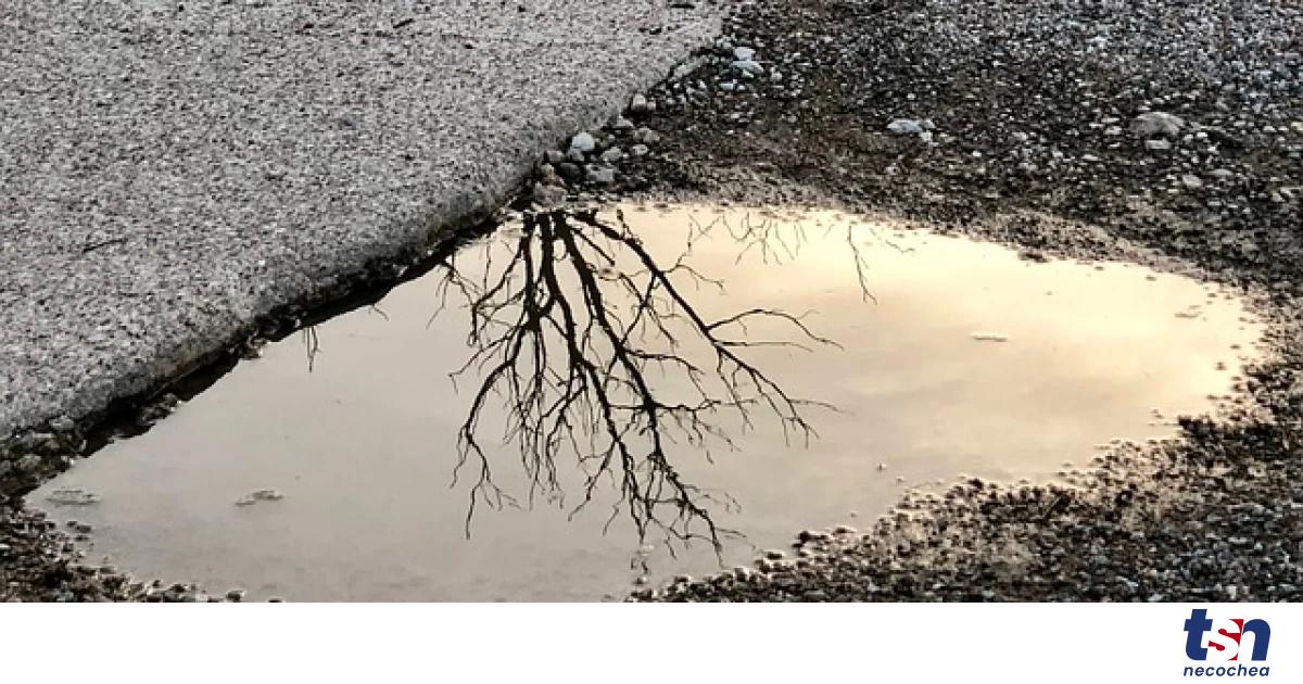 Solicitan circular con precaución al transitar por la Ruta 88 | TSN ...