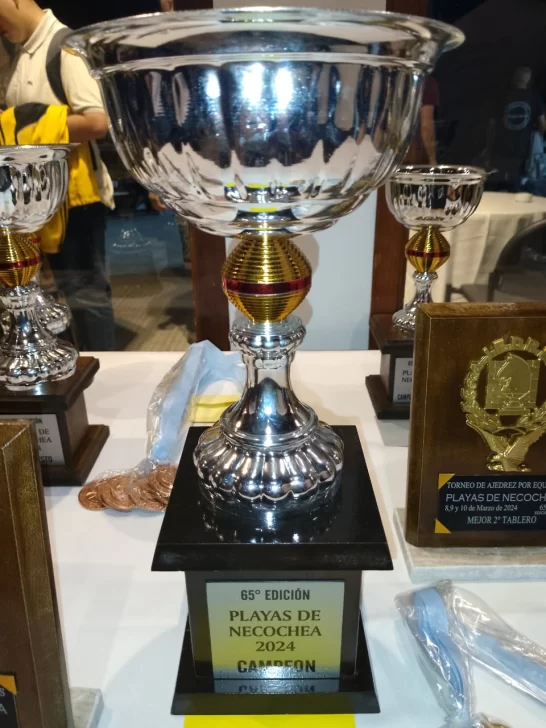 trofeos-Playas2-546x728