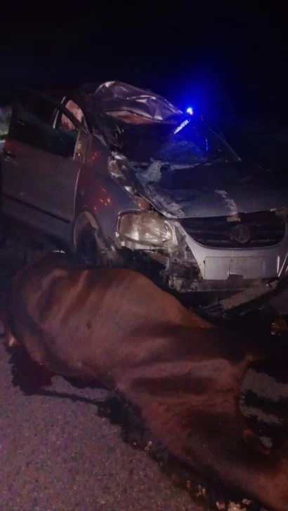 20240405080811_whatsapp-image-2024-04-05-at-07-46-13-410x728