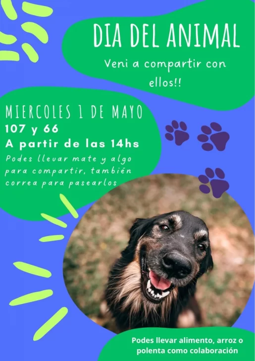 20240429145033_439295533-737074148619516-7376348150463148699-n-515x728