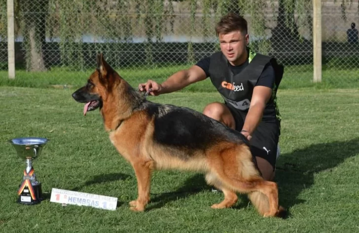 433f44a9-8032-4a9e-92d2-0b90575ef1bd-728x472