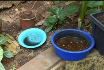 El municipio difundió una serie de medidas para evitar la proliferación del mosquito