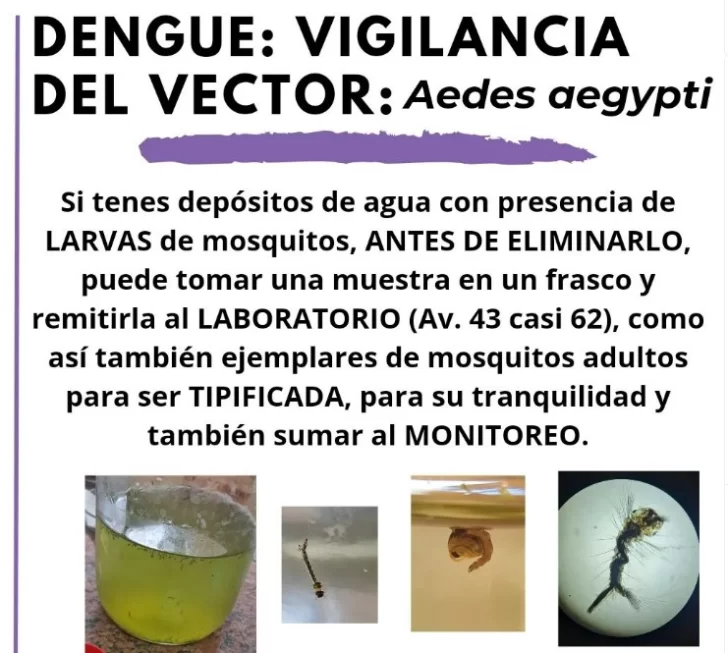 Captura-de-pantalla-2024-04-11-182952-728x653