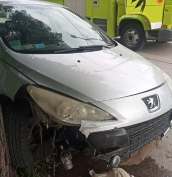 Chocó contra un árbol y debió ser hospitalizada