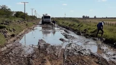 Productores quieren saber en qué se utilizan los fondos de la Tasa a la Hectárea