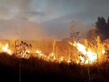 Incendio de pastizales en 97 y 62