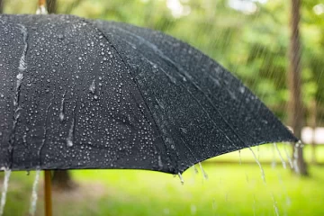 Cómo estará el clima este domingo en Necochea y Quequén