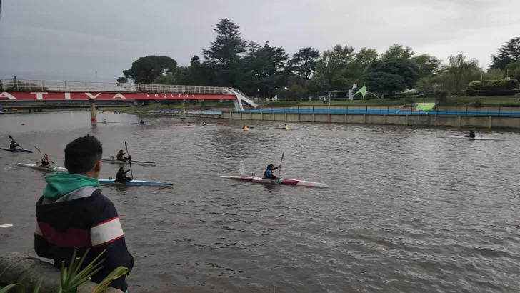 jornada-Febocak-728x410