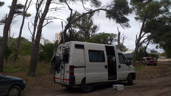 Radioaficionados de Necochea realizan activaciones desde el museo