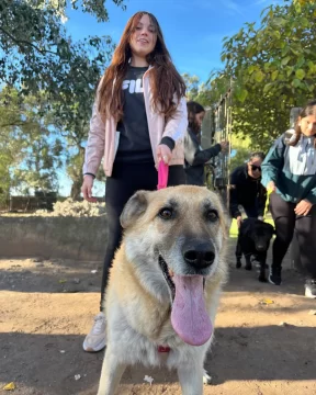 Día de mimos y paseos para los perritos del CAAN