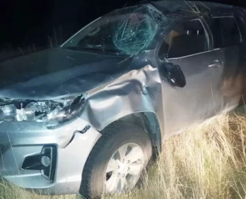Esquivó un carpincho y terminó volcando el auto