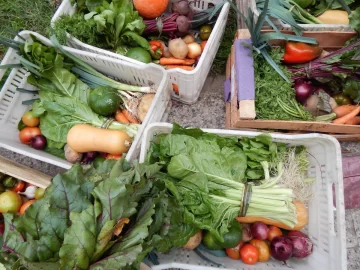 Frescura Natural: familias que producen verduras desde hace más de diez años
