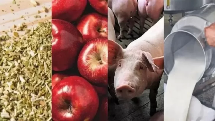 Inflación: más de la mitad de las economías regionales están en crisis