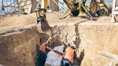 Encontraron el esqueleto de un Perezoso Terrestre Gigante en Mar del Plata