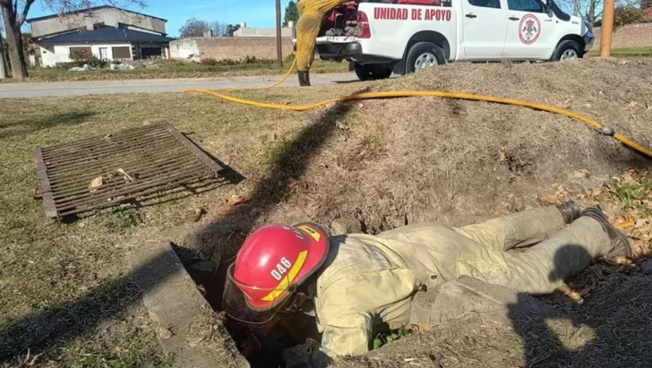 Rescatan a un perro de una alcantarilla