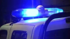 Aparecieron caballos descuartizados y sospechan de faenas clandestinas para vender carne