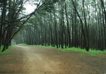 Cómo estará el clima este viernes en Necochea y Quequén