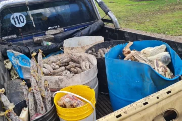 Brote de triquinosis: secuestraron 75 kilos de cortes, 135 de chacinados secos y 35 salazones