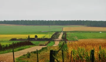 Declararon la emergencia agropecuaria en Balcarce