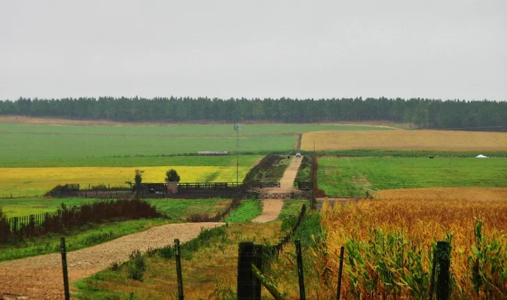 Declararon la emergencia agropecuaria en Balcarce