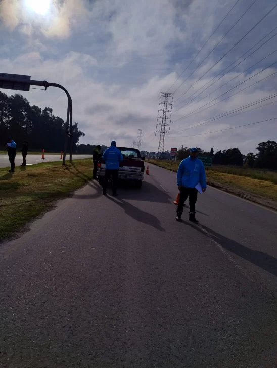 8208149a-f12c-473c-ba88-998cb2f547a0-548x728