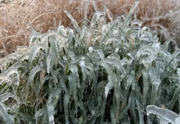 Cesó la alerta por fríos extremos para nuestra región