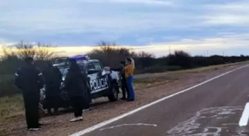 Detuvieron a una mujer que viajaba a Neuquén con una nena de 5 años desaparecida en Mendoza