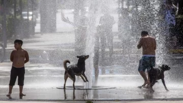 Tras el frío extremo, llegaría un verano más caluroso de la historia