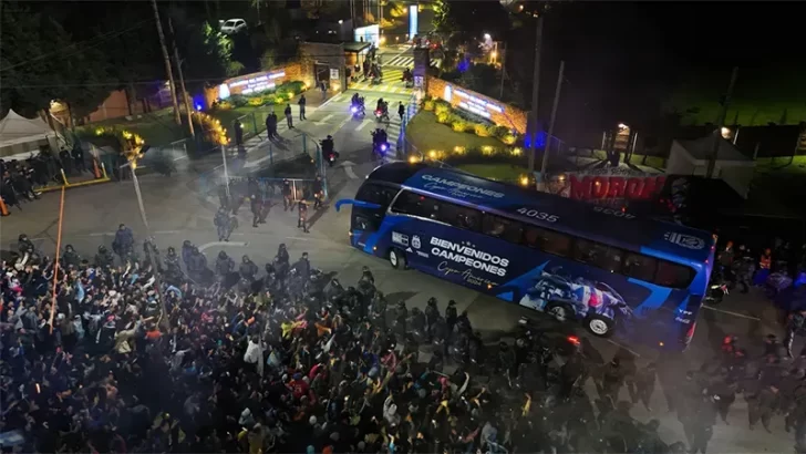 Locura por la Selección: los bicampeones de América fueron recibidos por miles de hinchas